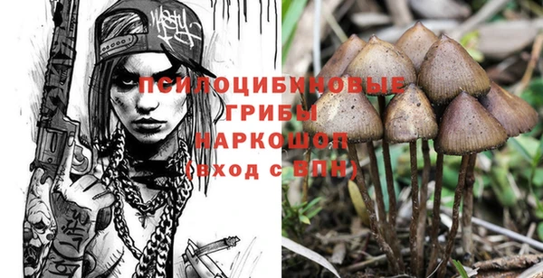 ПСИЛОЦИБИНОВЫЕ ГРИБЫ Абаза