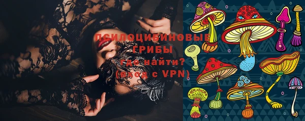 ПСИЛОЦИБИНОВЫЕ ГРИБЫ Абаза