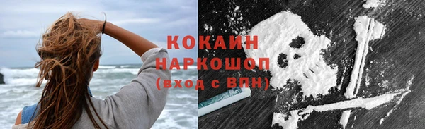 ПСИЛОЦИБИНОВЫЕ ГРИБЫ Абаза