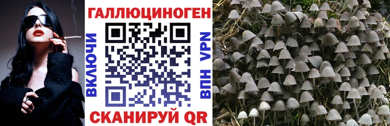 Галлюциногенные грибы Cubensis Таганрог