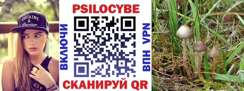 omg зеркало  Таганрог  это телеграм  Галлюциногенные грибы мицелий 